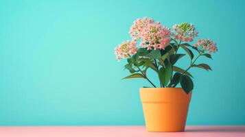 ai genererad asclepias milkweed blomma i pott på minimalistisk levande bakgrund foto