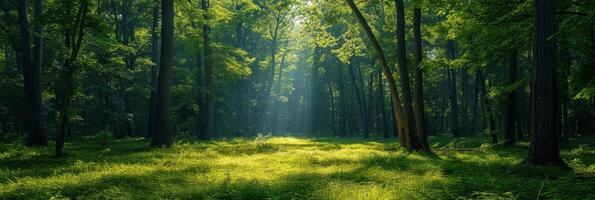 ai genererad skön Foto av en sommar skog för bakgrund