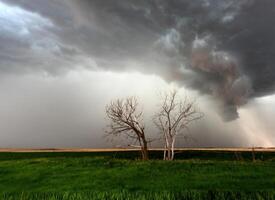 stormmoln kanada foto