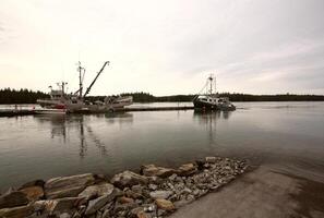 dockade fiskebåtar vid port edward, brittisk columbia foto