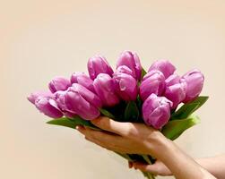 rosa tulpaner blommor bukett i händer. väntar för vår. Lycklig påsk, mors dag. foto