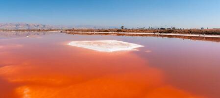 rosa salt dammar på alviso marina grevskap parkera foto