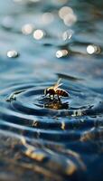 ai genererad en bi den där är simning i några vatten foto