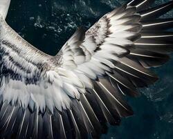 ai genererad en stor vit och svart fågel flygande över vatten foto