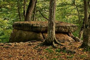gammal megalit dolmen bland träd i ett höst lund foto