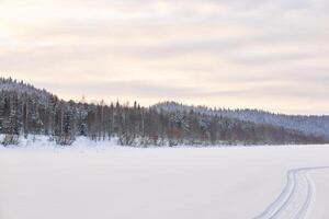 vinter- landskap med en bred frysta flod i en snöig trädbevuxen dal foto