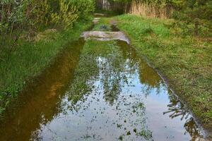 spår av en smuts väg i de floodplainen av en flod under vatten under en översvämning foto