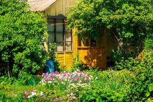 by hus med trädgård på en solig sommar dag foto