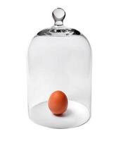 ägg känner skyddade under en glas omslag, isolerat på en vit bakgrund foto