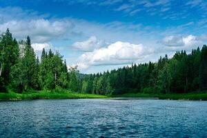 skön landskap sommar flod med trädbevuxen banker foto