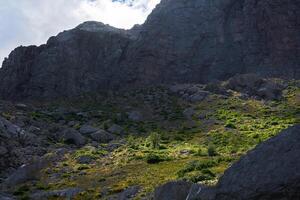 högland glacial- dal med brant backar, gräs- botten och moln skugga foto