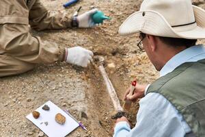 paleontologer ha upptäckt en fossil i de öken- foto