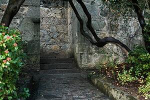 trappa och vägg textavsnitt tillverkad av naturlig sten mellan stenar i gammal landskap parkera foto
