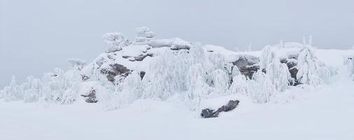 snötäckt stenar och frosttäckt träd på en berg passera i vinter- foto