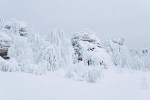 snötäckt stenar och frostig träd på de berg passera i vinter- foto