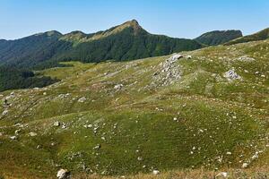 berg bete på en klippig backe i de kaukasus bergen foto