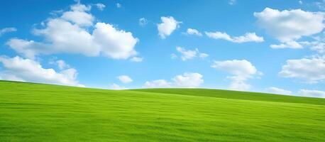 grönt fält och blå himmel med vita moln foto