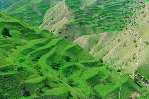 berg landskap med grön terrasserad hö fält på de sluttningar foto