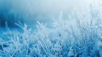 ai genererad frostig natur bakgrund. vinter- landskap med frysta gräs i blå tonad. foto