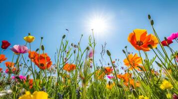 ai genererad solig vår fält vibrerande blommor under de Sol foto