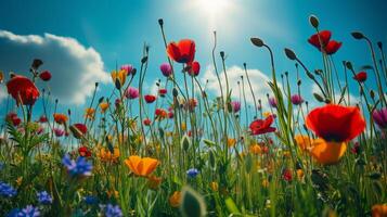 ai genererad solig vår fält vibrerande blommor under de Sol foto