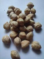 aleuriter moluckanus eller indonesiska ljusnötter eller kemiri isolerat på vit bakgrund foto
