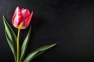 ai genererad skön tulpan blomma är presenteras på en mörk bakgrund foto