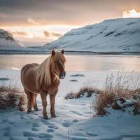 ai genererad ikoniska isländsk landskap terar majestätisk häst mitt i fantastisk landskap för social media posta storlek foto