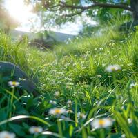 ai genererad idyllisk vår dag med klar himmel och värma solsken för social media posta storlek foto