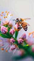 ai genererad pollinering ögonblick honung bi går av delikat på färgrik blomma vertikal mobil tapet foto