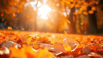 ai genererad orange falla löv i parkera, solig höst naturlig bakgrund foto
