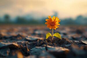 ai genererad naturer optimism blomma framträder från torr jord, symboliserar hoppas foto