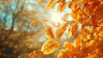 ai genererad orange falla löv i parkera, solig höst naturlig bakgrund foto