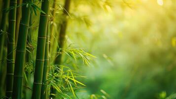 ai genererad bambu skog grön natur bakgrund foto