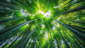 ai genererad låg vinkel se av träd växande i bambu lund foto