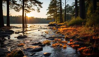 ai genererad lugn scen av en skog på solnedgång genererad förbi ai foto