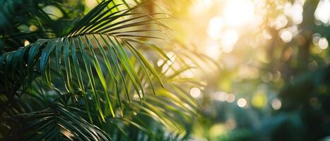 ai genererad gyllene solljus filter genom tropisk handflatan frön, skapande en värma foto