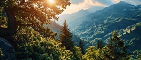 ai genererad solljus badar en skog spår med berg toppar ovan foto