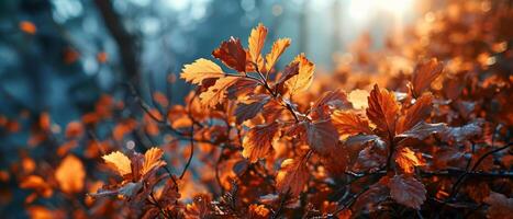 ai genererad höst löv glöd i de mjuk gyllene ljus av de miljö Sol foto