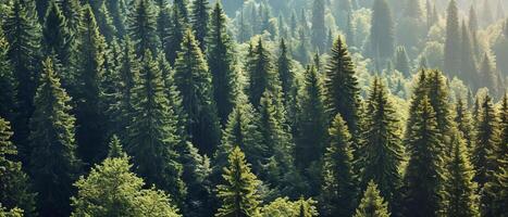 ai genererad frodig grön barrträd i en tät, dimmig skog landskap foto