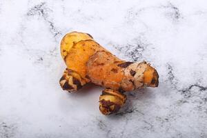 färsk gurkmeja rot för matlagning foto