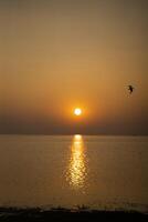 en se av gyllene solnedgång och fåglar flugor foto