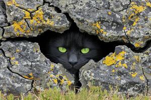 ai genererad närbild av en kattens grön ögon kikar ut av en spricka foto