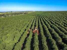 Flygfoto över kaffemekaniserad skörd i Brasilien. foto