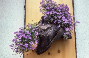 en par av gammal stövlar med lila blommor på den foto