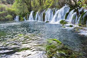 pil bambu sjö vattenfall, jiuzhaigou nationell parkera, sichuan provins, Kina, unesco värld arv webbplats foto