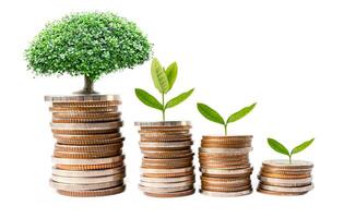 träd plumule blad på spara pengar stack mynt, företag finansiera sparande bank investering begrepp. foto