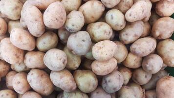 stor lugg av potatisar på de marknadsföra foto