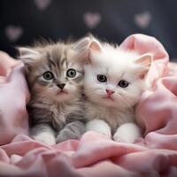 ai genererad söt kattungar i kärlek på rosa fluffig pläd på de bakgrund med hjärtan. två katter koppla av på mysigt Hem. foto