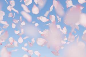 körsbär blomma kronblad faller mot en mjuk blå himmel foto